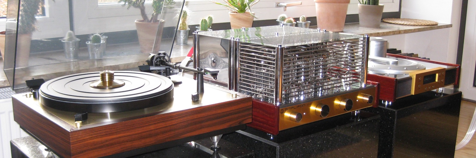 Kraftvoller Feingeist - Amplifon Audio`s WT 40